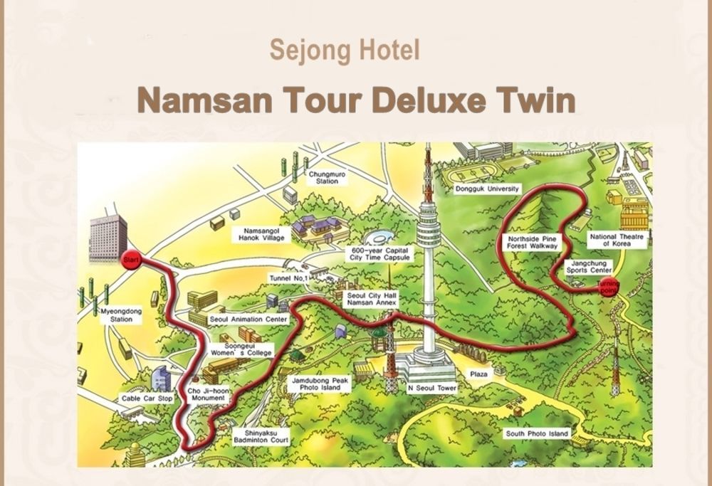 Sejong Myeongdong Hotel